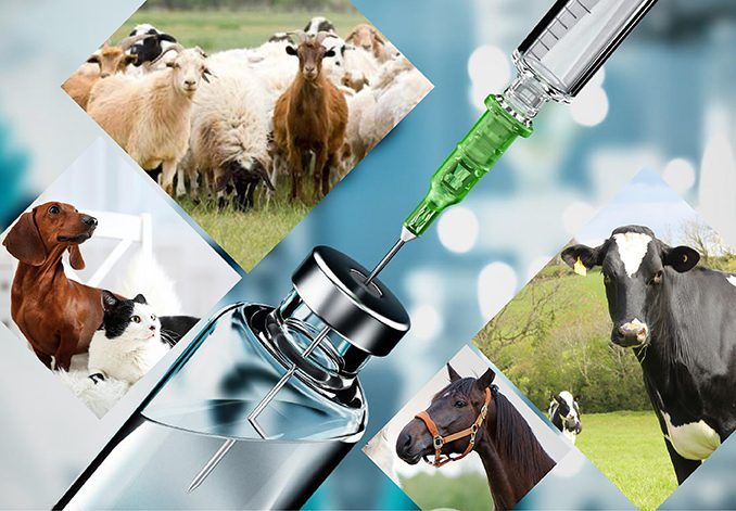Veterinary products and animal-health medicines for livestock and pets